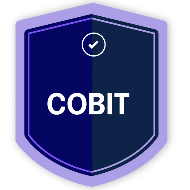 COBIT Framework